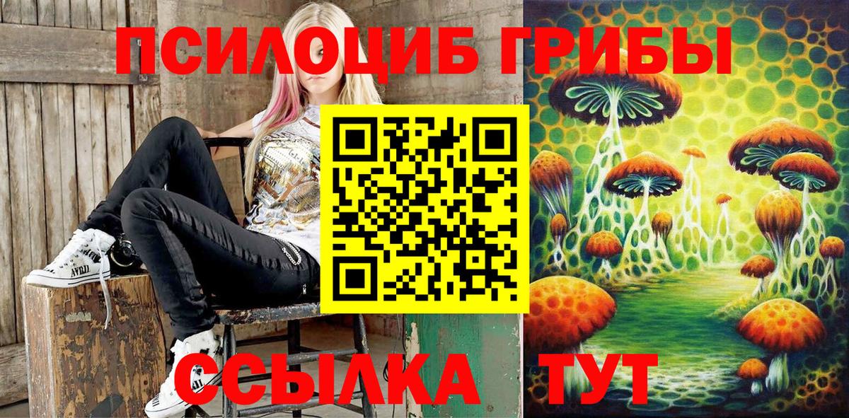 Галлюциногенные грибы GOLDEN TEACHER Владивосток